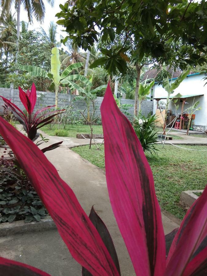 Safsia Homestay Toyapakeh 외부 사진